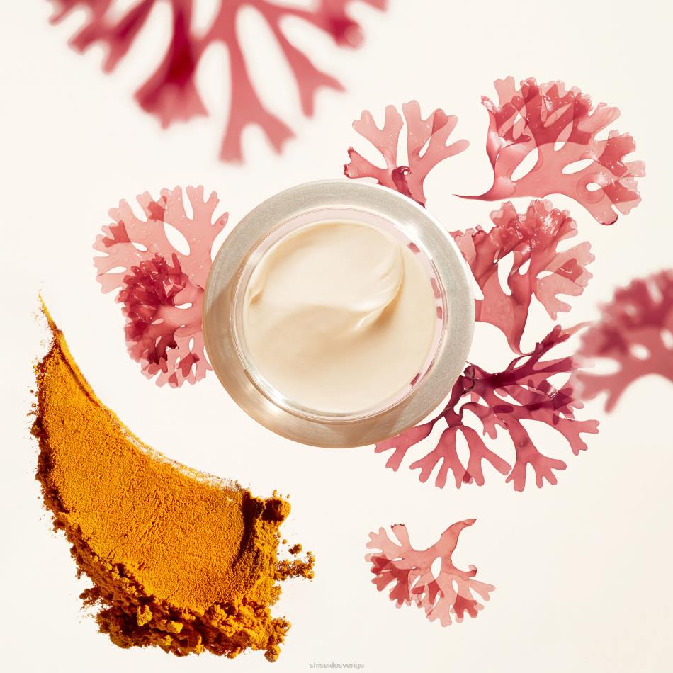 rynkutjämnande dagkräm spf 23 VL6V10 Shiseido hudvård