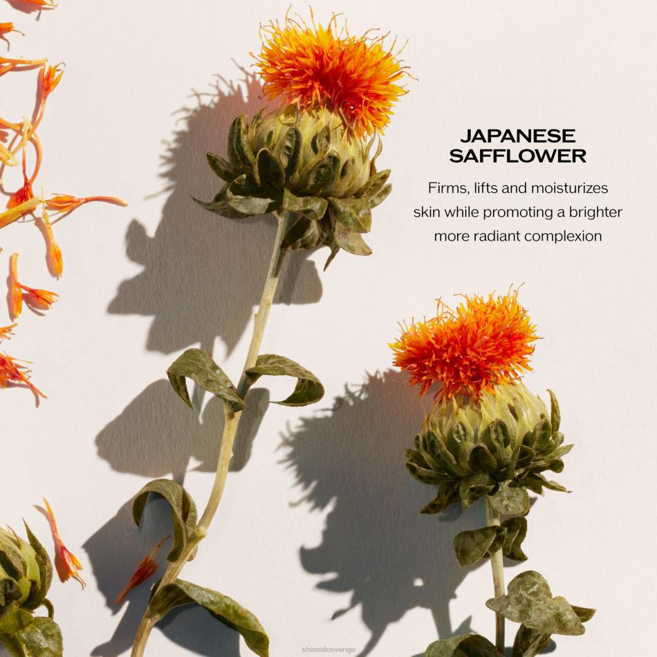 upplyftande och uppstramande dagkräm spf 30 VL6V22 Shiseido hudvård