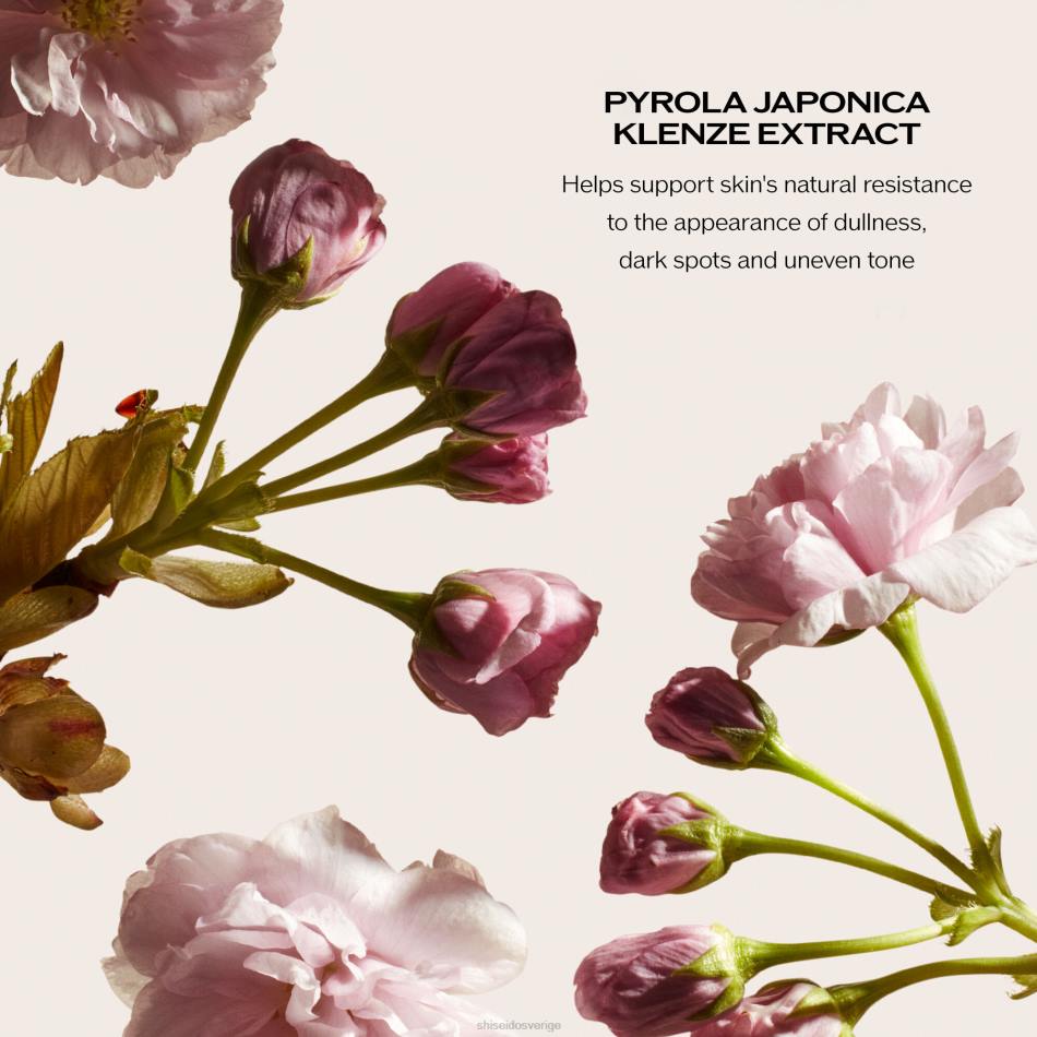 övernattskräm och mask VL6V13 Shiseido hudvård