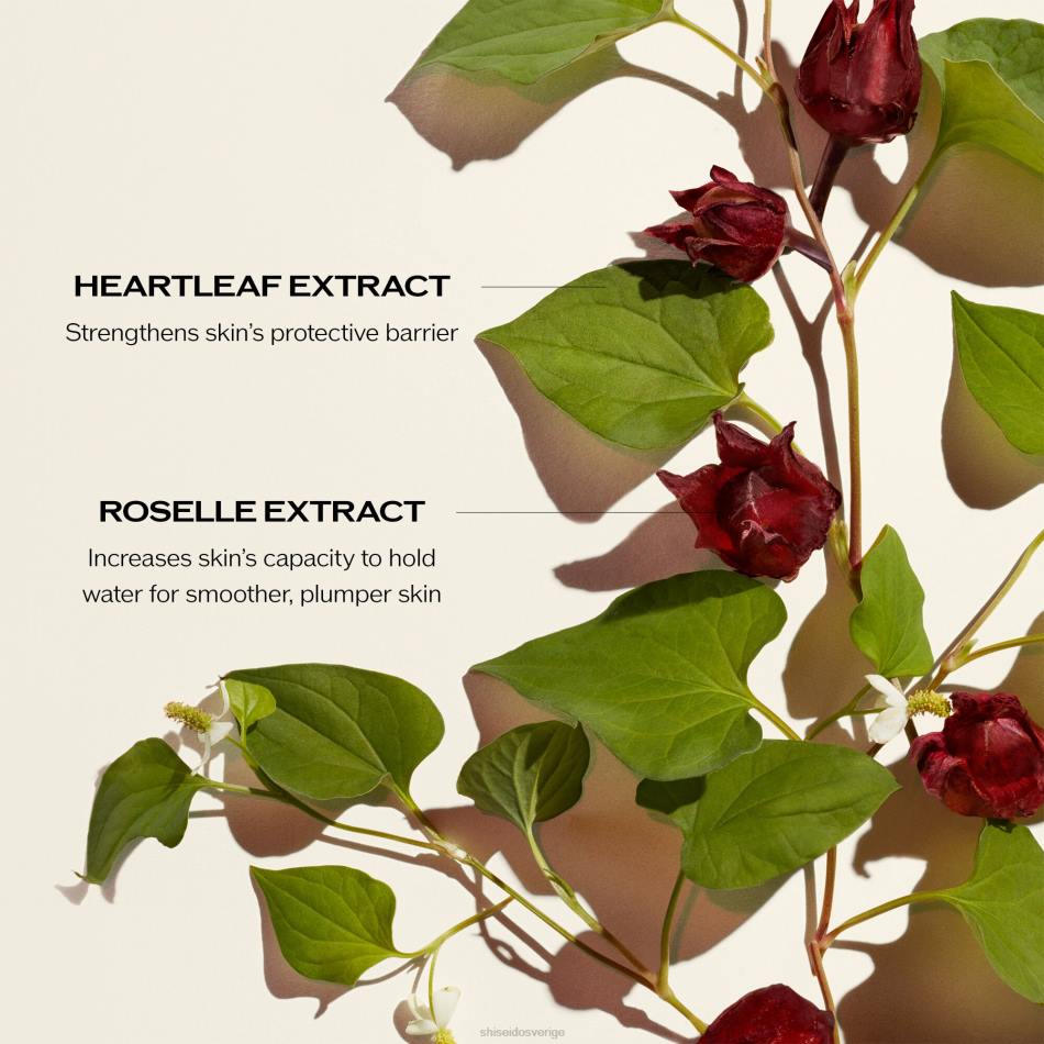 kraftinfunderande serumpåfyllning VL6V74 Shiseido hudvård