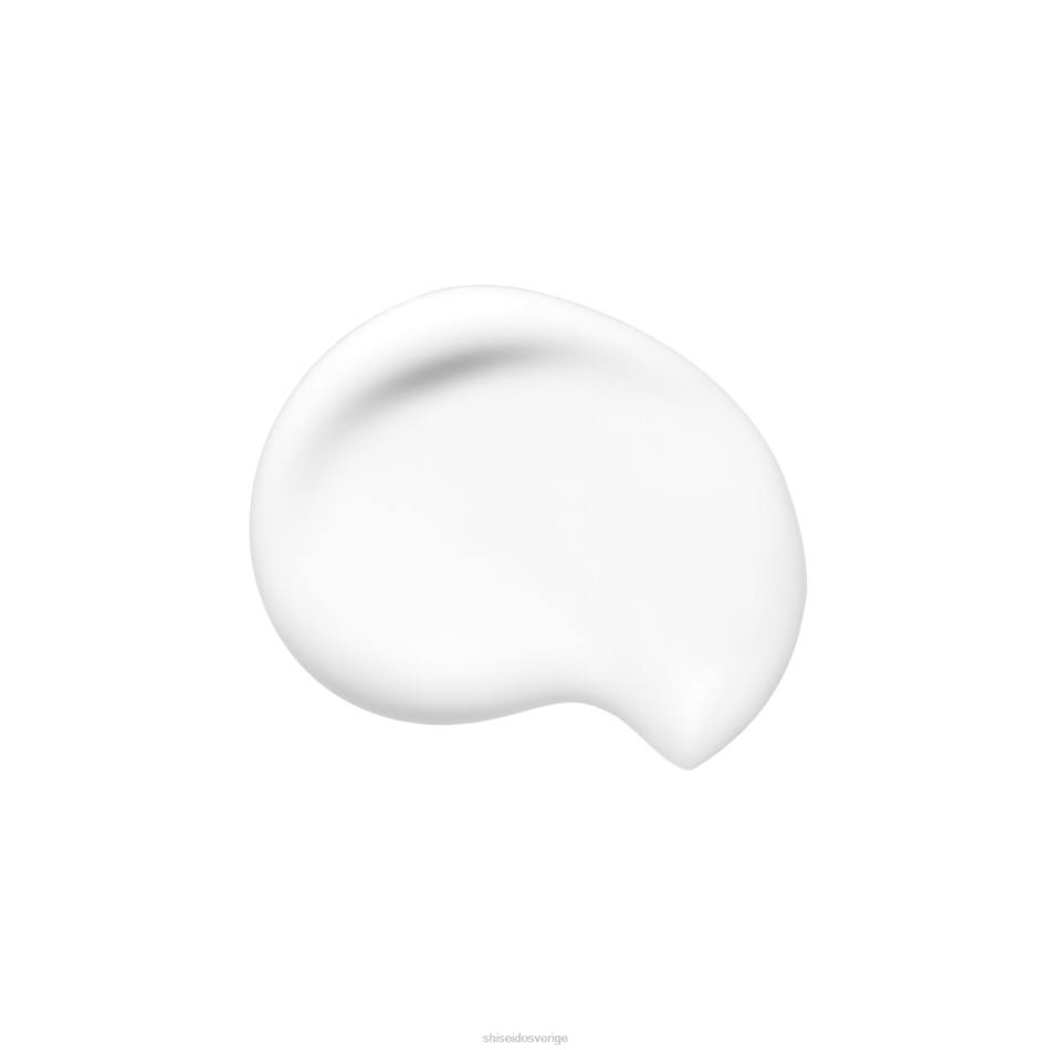 synkro hud mjuk blurring primer VL6V108 Shiseido smink