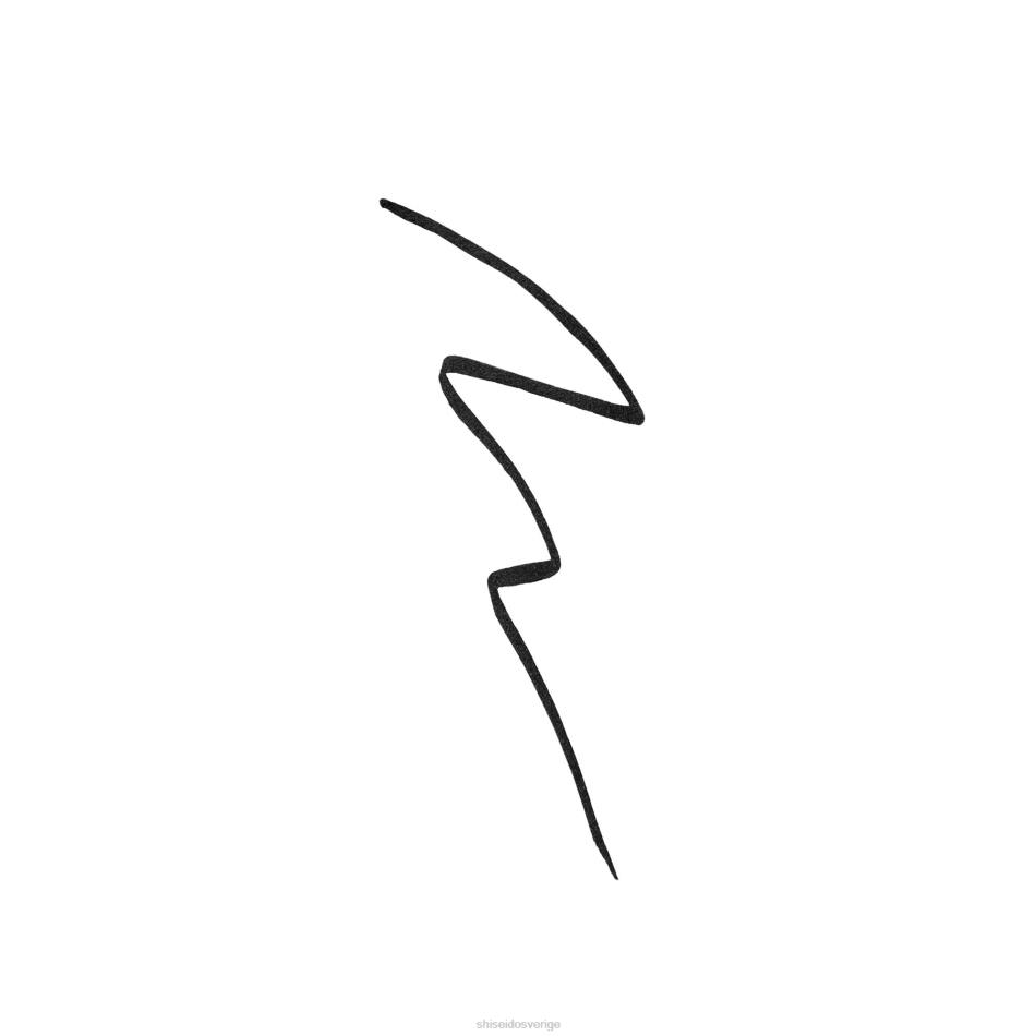 archliner bläck VL6V123 Shiseido smink